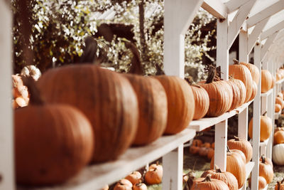 Close-up of food in store on shelves