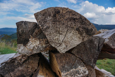 Close-up of wood against sky