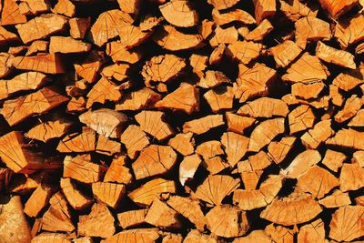 Full frame shot of logs in forest