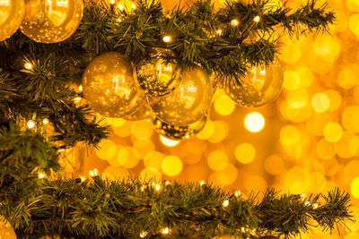 Close-up of illuminated christmas tree at night