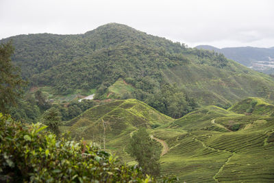 High angle view of green landscape and mountains