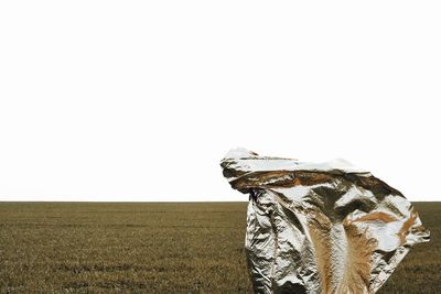 Foil against clear sky on landscape