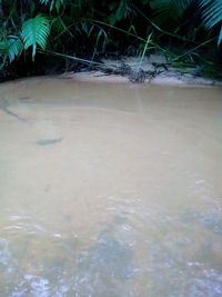 Scenic view of wet beach
