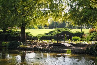Scenic view of park by lake