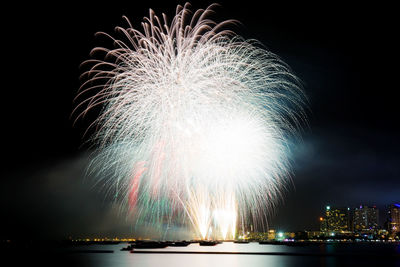 Firework display at night