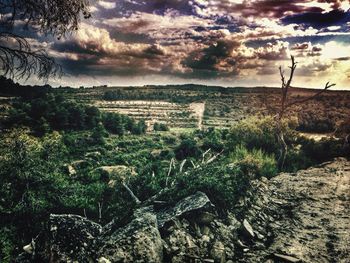 Scenic view of landscape against cloudy sky