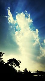 Low angle view of trees against cloudy sky