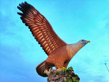 Low angle view of eagle flying against blue sky