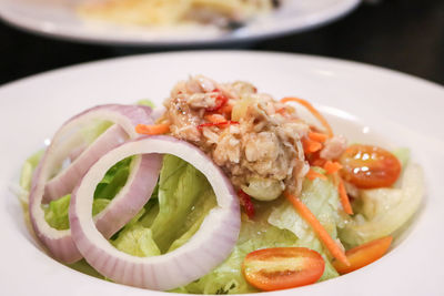 Close-up of food served in plate