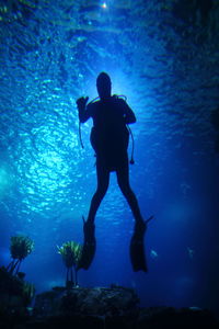 Silhouette of man swimming in sea