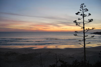 Scenic view of sea at sunset