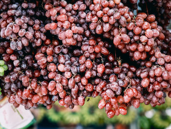 The sweet and delicious grapes sold at the local market.
