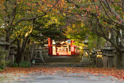 Trees by building during autumn