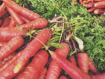 High angle view of vegetables