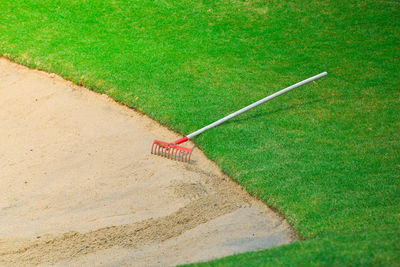 Close-up of golf course