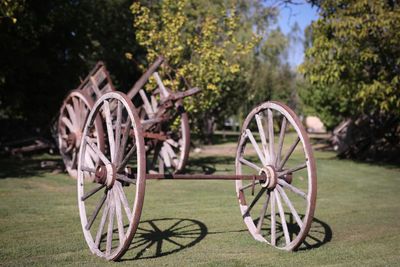 Bicycles on field