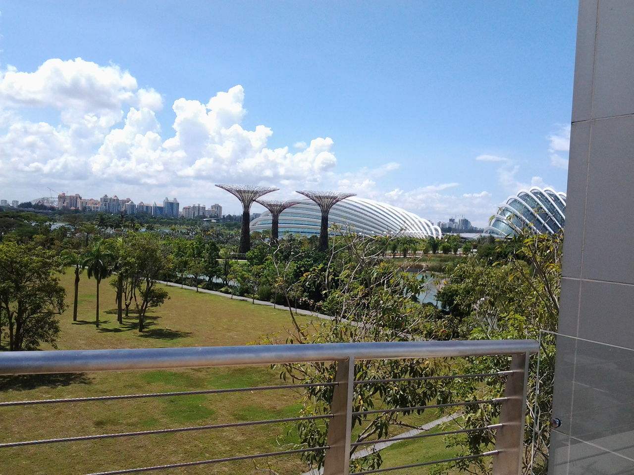 sky, plant, fence, growth, nature, railing, green color, tree, beauty in nature, growing, cloud - sky, flower, day, built structure, sunlight, tranquility, cloud, outdoors, no people, blue