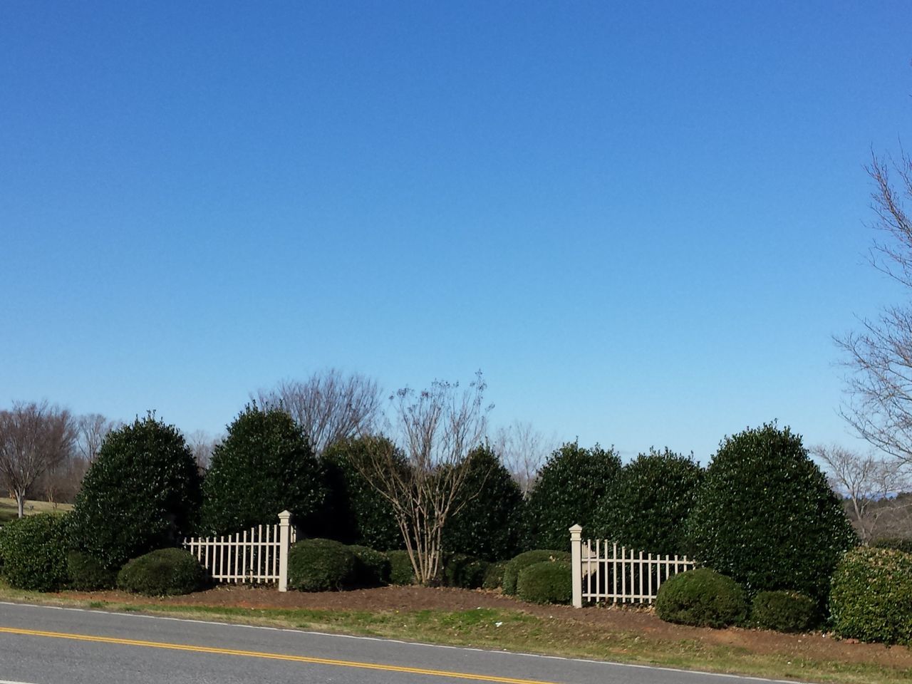 clear sky, copy space, tree, blue, built structure, building exterior, architecture, house, field, grass, landscape, outdoors, nature, day, bare tree, no people, fence, tranquility, road, sky
