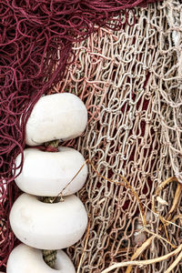 High angle view of eggs in nest