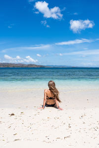 Rear view of woman sitting at beach against sky