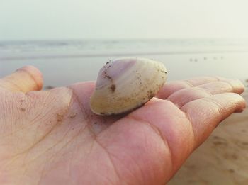 Cropped image of people holding water