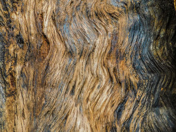 Full frame shot of wood