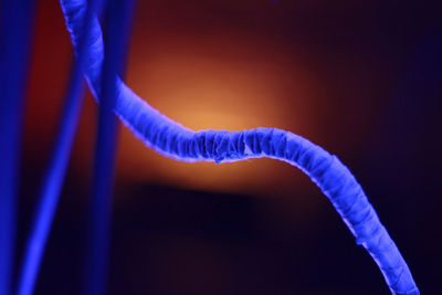 Close-up of illuminated blue cable against black background