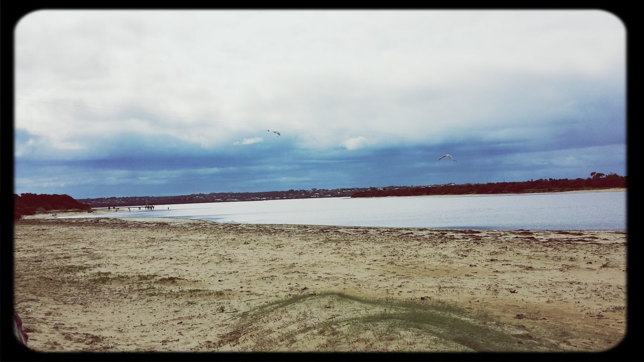 transfer print, sky, sea, water, beach, auto post production filter, bird, tranquil scene, cloud - sky, tranquility, horizon over water, sand, scenics, shore, nature, beauty in nature, cloudy, cloud, animal themes, day