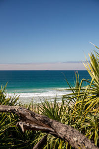 Scenic view of sea against clear blue sky