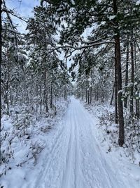 Snow covered road amidst trees during winter