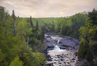 Scenic view of forest against sky during autumn