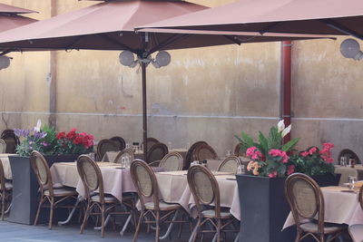 Potted plants on table in restaurant