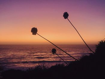 Silhouette person by sea against sky during sunset