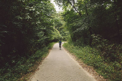 Rear view of woman riding bicycle on footpath amidst trees