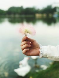 Cropped image of hand holding plant at lake