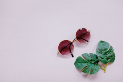 High angle view of leaves against white background