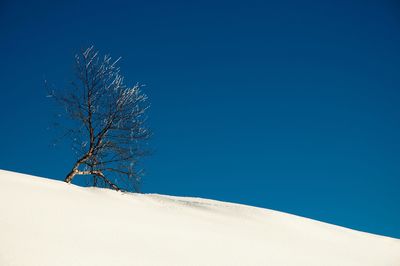 Bare tree on snow covered landscape against clear blue sky