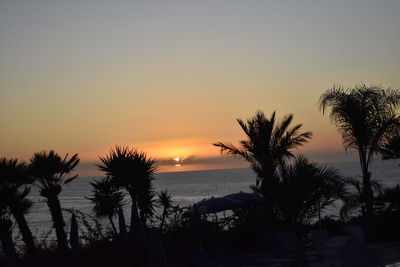 Silhouette palm trees on beach against sky during sunset