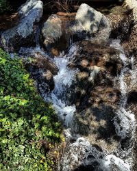 Stream flowing through rocks in forest