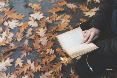 Midsection of mid adult man reading book at park during autumn