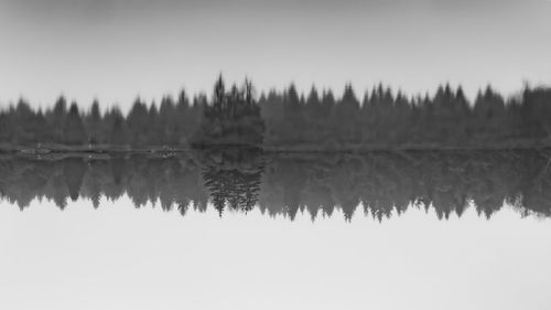 Reflection of trees in lake against clear sky