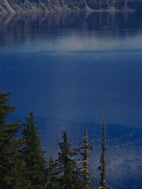 Reflection of trees in lake