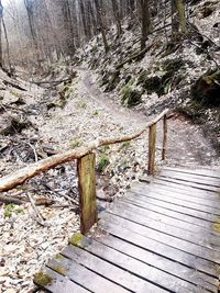 Wooden footbridge on footpath