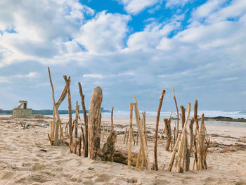 Panoramic view of wooden posts on beach