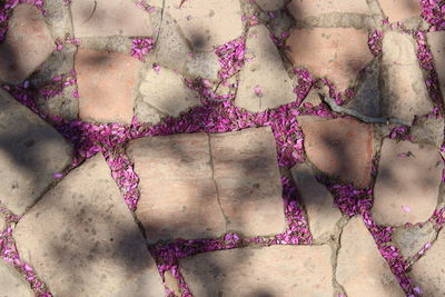 Full frame shot of pink umbrella