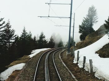 Railroad tracks amidst trees against clear sky during winter