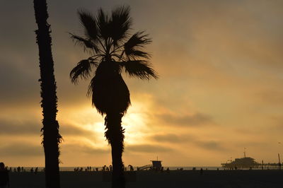 Silhouette palm trees against sky during sunset