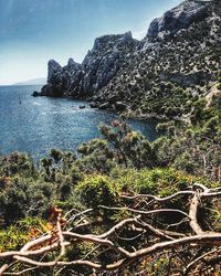 Scenic view of sea against sky