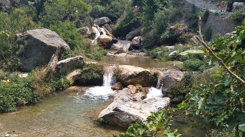 River flowing through rocks in forest