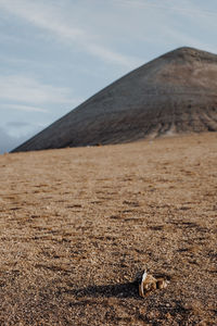 View of a desert